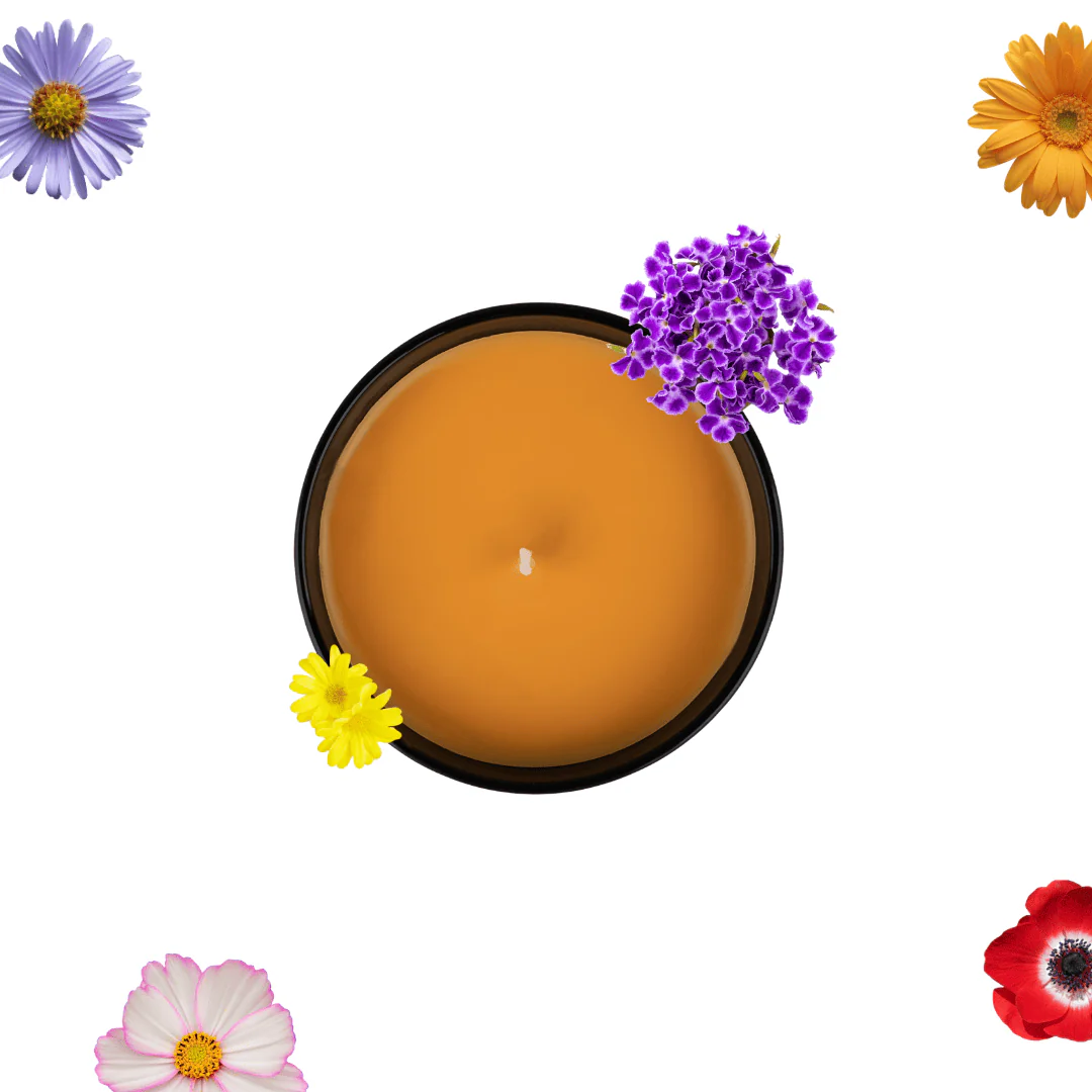 Top-down view of a round brown candle in a black holder, with several colorful flowers around on a white background.