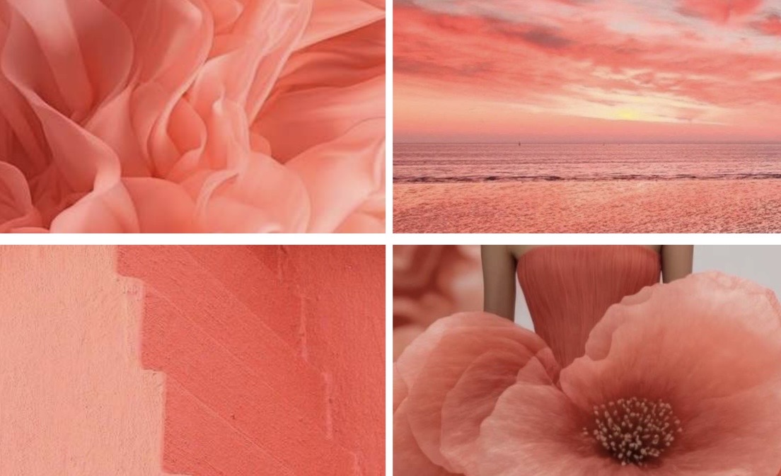 Collage of four pink-toned images: close-up soft pink petals, a pink sunset over the ocean, a textured peach-colored wall, and a large pink poppy flower.